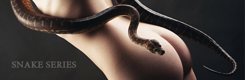 Snake series